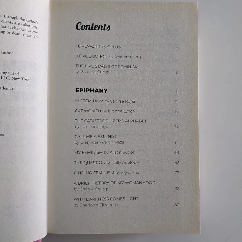 Feminists Don't Wear Pink and Other Lies - Picture 6 of 10